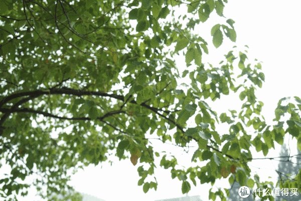 美能达镜头推荐