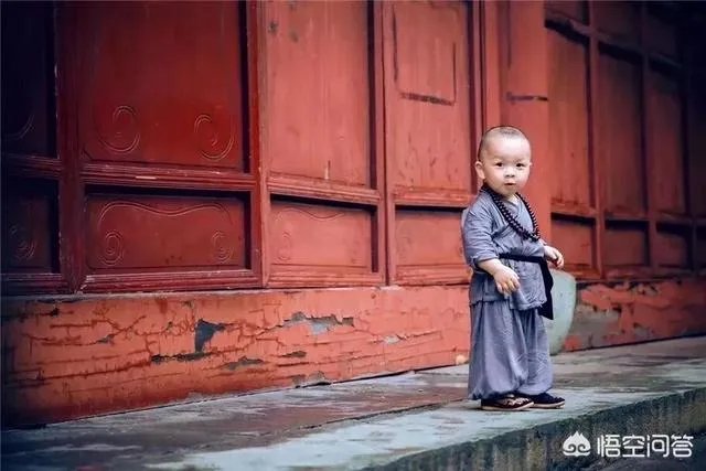 你的职场成长历程是怎样的？