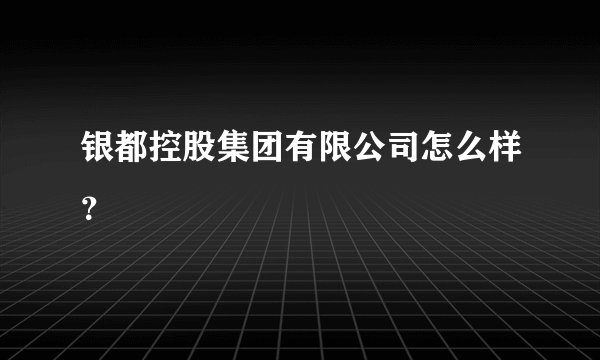银都控股集团有限公司怎么样？