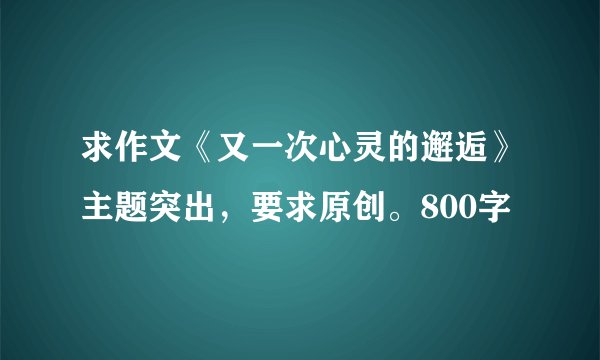 求作文《又一次心灵的邂逅》主题突出，要求原创。800字
