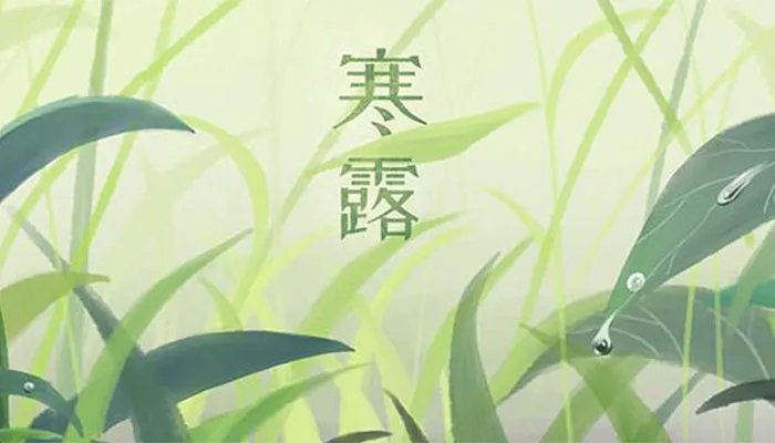 有关寒露的俗语