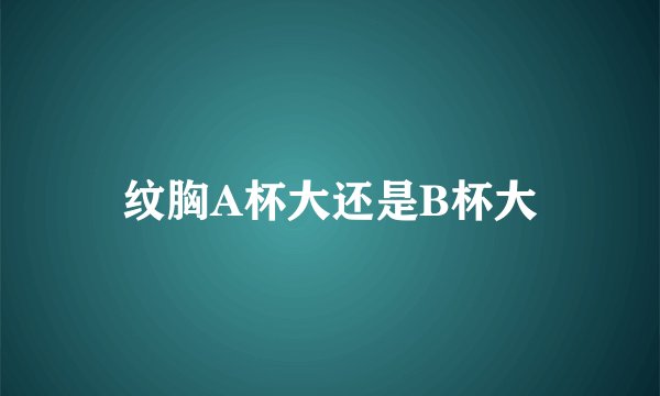 纹胸A杯大还是B杯大
