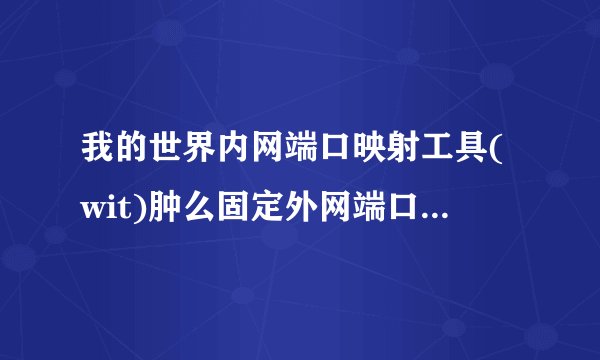 我的世界内网端口映射工具(wit)肿么固定外网端口,ip固定了可端口一直不固定,每次玩Mc联机都要