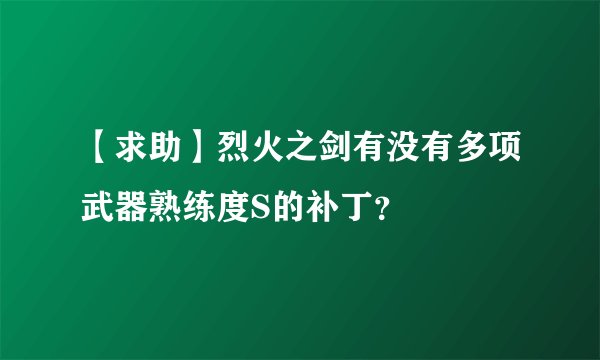 【求助】烈火之剑有没有多项武器熟练度S的补丁？