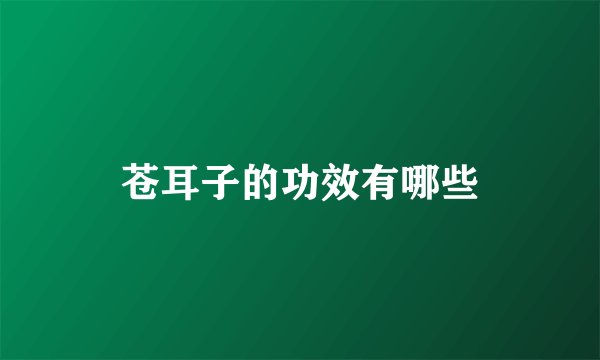 苍耳子的功效有哪些
