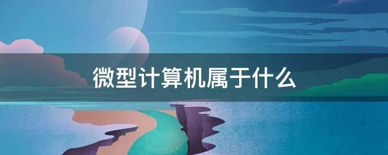 微型计算机属于什么