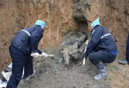 《消失的夫妻》尸检结果细节是什么？