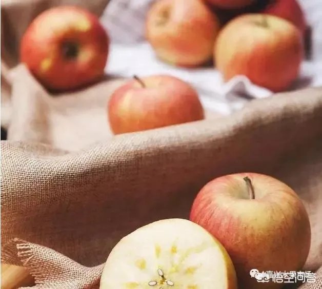 今年水果价格高,有的地方梨价格涨到十多元一斤,你那边水果价格高吗?