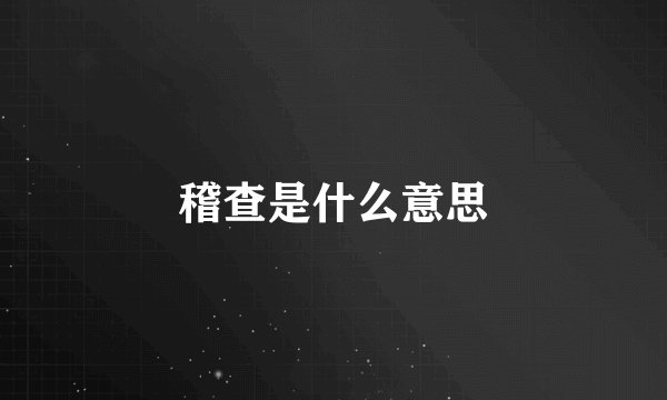 稽查是什么意思