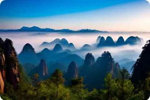 搭档的英文单词是什么