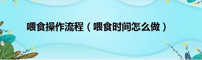 喂食操作流程（喂食时间怎么做）