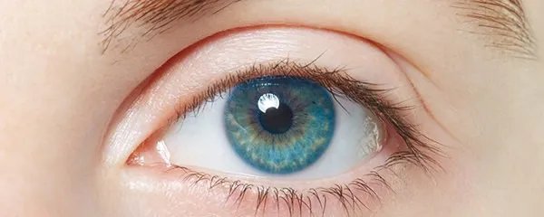 割双眼皮的危害