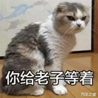 2019汽车销量出炉！大众第一，中国品牌谁最强？