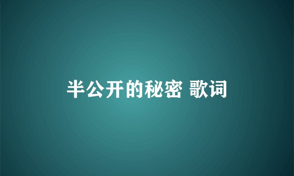 半公开的秘密 歌词