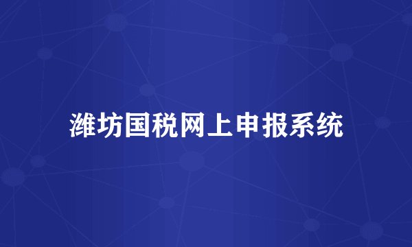 潍坊国税网上申报系统