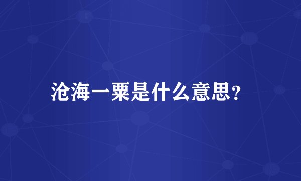 沧海一粟是什么意思？