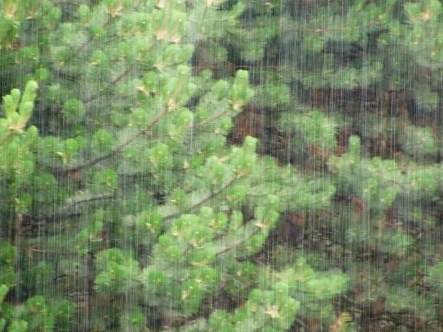 2020入梅和出梅时间什么时候 2020年几时入梅几时出梅