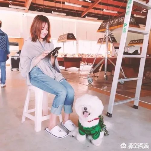 你觉得哪家电视台的2019年元旦跨年晚会最好看？