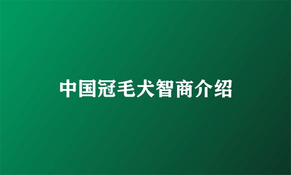 中国冠毛犬智商介绍