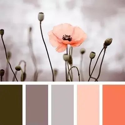 颜色搭配（一）