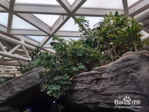 游玩菏泽牡丹园攻略（近期）