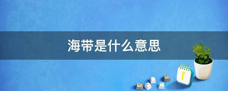 海带是什么意思
