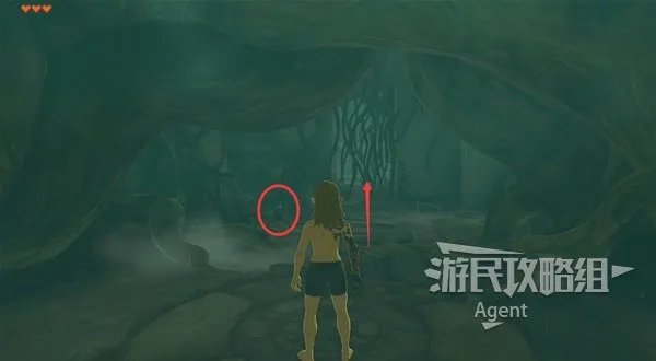 《塞尔达传说王国之泪》图文攻略 全地图探索图文攻略