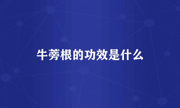牛蒡根的功效是什么