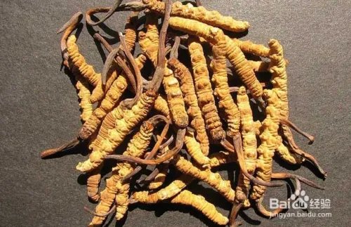 冬虫夏草价格表