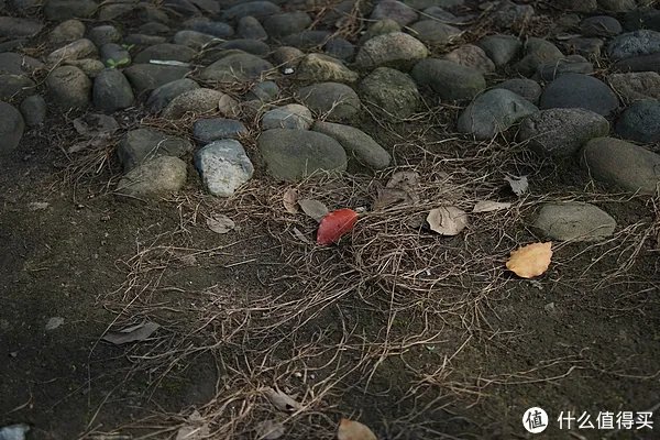 美能达镜头推荐