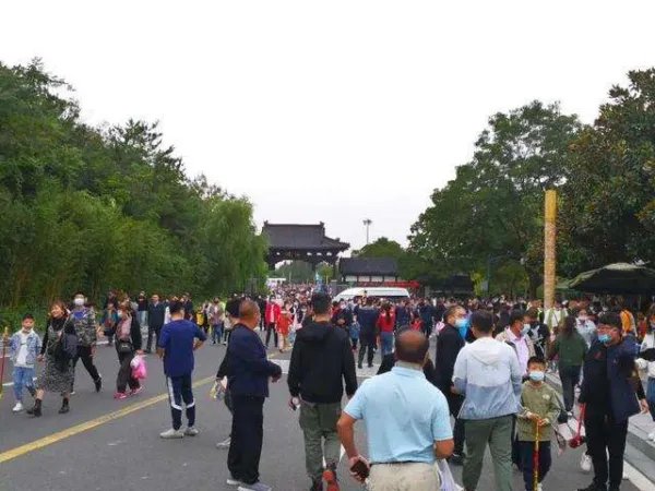 95后首次成为国庆出游主力，是什么原因造成这个现象的？