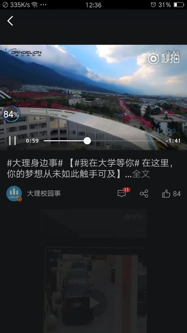 大理大学的樱花真的很多吗？好看吗？