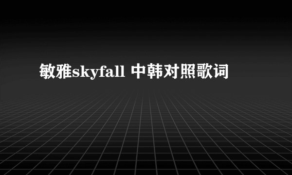 敏雅skyfall 中韩对照歌词