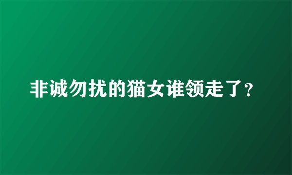 非诚勿扰的猫女谁领走了？