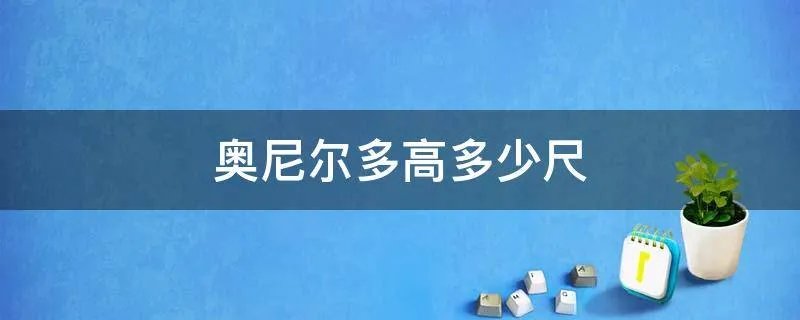 奥尼尔多高多少尺