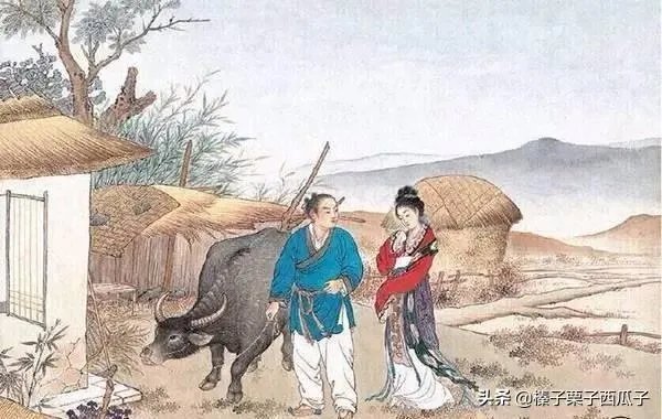 问世间情为何物 直教人生死相许是谁写的