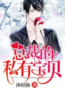 总裁的私有宝贝txt下载