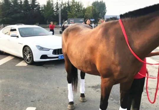 如何看待真马撞上玛莎拉蒂后,玛莎拉蒂司机的做法呢?
