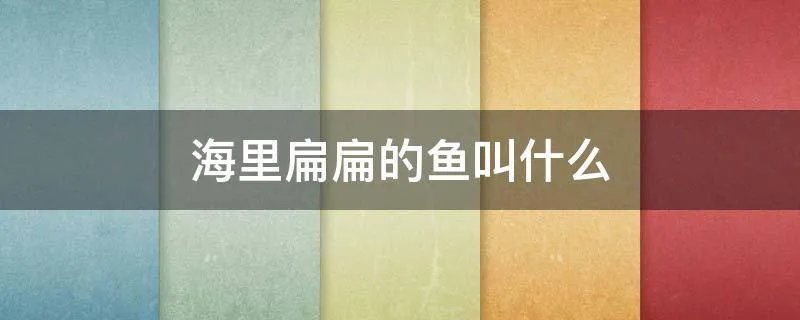 海里扁扁的鱼叫什么
