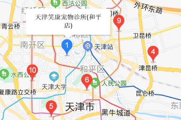 天津市领养狗狗的地方