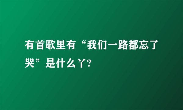 有首歌里有“我们一路都忘了哭”是什么丫?