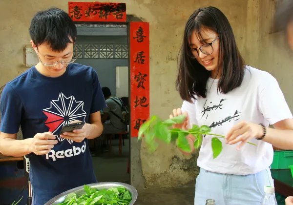 公司要搞团建活动，在深圳，有什么比较好的推荐吗？