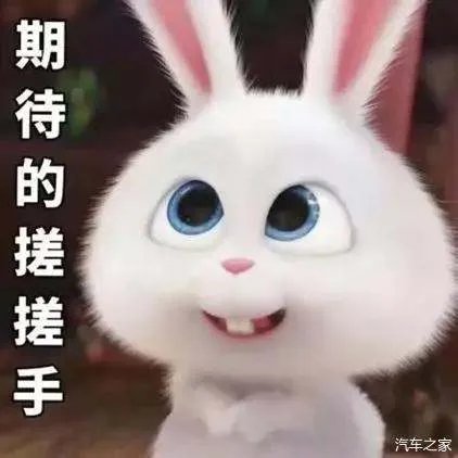 2019汽车销量出炉！大众第一，中国品牌谁最强？