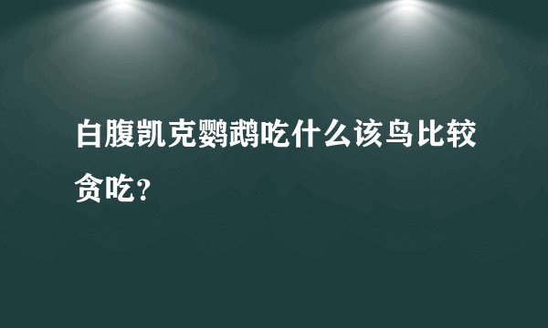 白腹凯克鹦鹉吃什么该鸟比较贪吃？