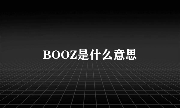BOOZ是什么意思
