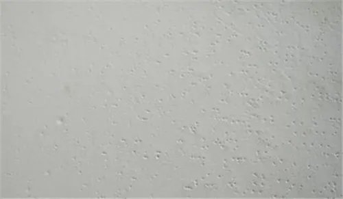 晨阳水漆有什么缺点吗  晨阳水性漆优缺点都有哪些