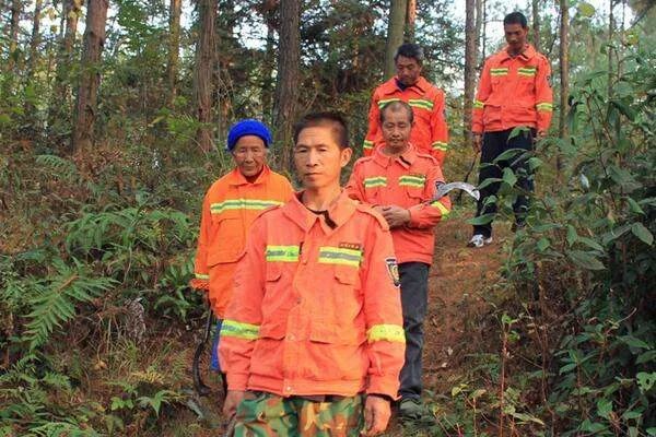 我是一名护林员我们的合同是一年一签我连续工作了10年应该享受什么待遇