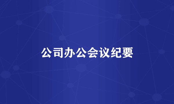 公司办公会议纪要