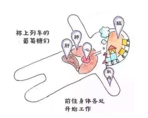 不吃糖真的能漂亮吗?