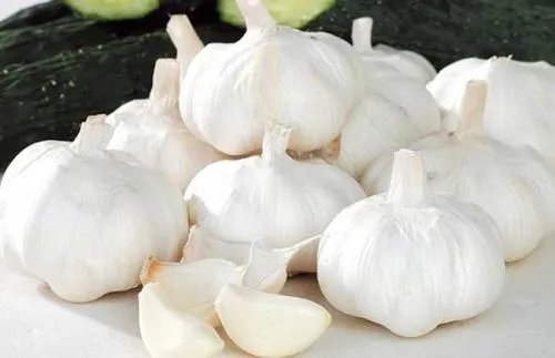 河南洛阳有哪些特产_河南洛阳十大特产推荐